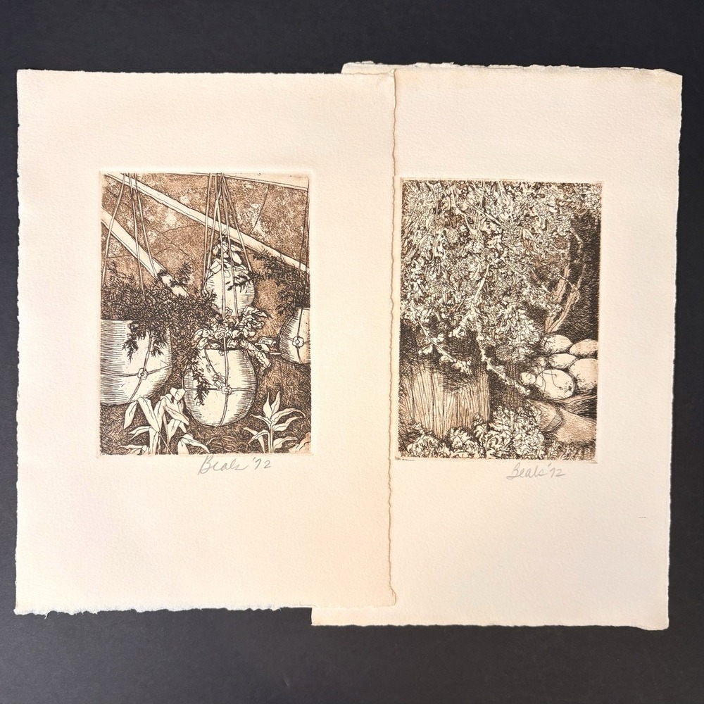 Vintage Lot of 2 Etchings by Beals Plants Nature Fruit Botanical Signed 1972